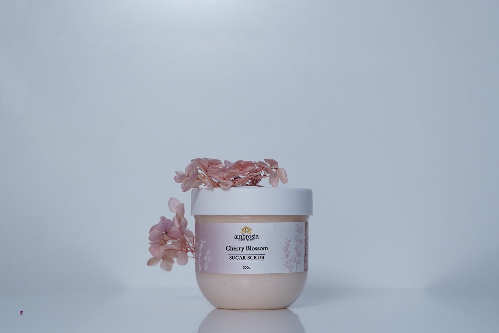 Shop Primary Image Shop Primary Image